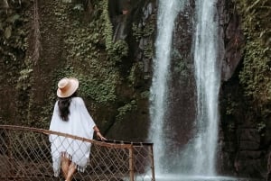 Half-Day Ubud Tour: Pakudui Terraces, Waterfall+Water Temple