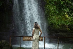 Half-Day Ubud Tour: Pakudui Terraces, Waterfall+Water Temple