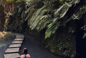 Half-Day Ubud Tour: Pakudui Terraces, Waterfall+Water Temple