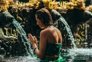 Half-Day Ubud Tour: Pakudui Terraces, Waterfall+Water Temple