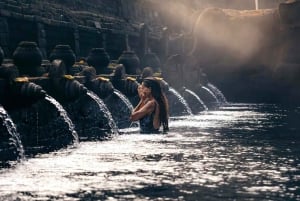 Half-Day Ubud Tour: Pakudui Terraces, Waterfall+Water Temple