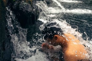 Half-Day Ubud Tour: Pakudui Terraces, Waterfall+Water Temple