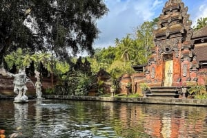 Half-Day Ubud Tour: Pakudui Terraces, Waterfall+Water Temple