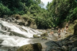 Ubud: Geführte Halbtagestour zu den Wasserfällen von Ubud
