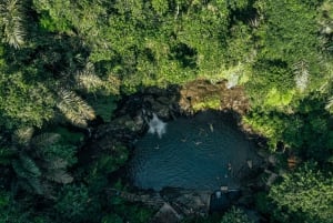 Ubud: Excursão guiada de meio dia às cachoeiras de Ubud