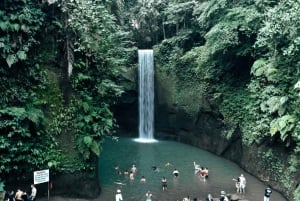 Ubud: Guided Half-Day Ubud Waterfalls Tour
