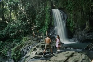 Ubud: Guided Half-Day Ubud Waterfalls Tour