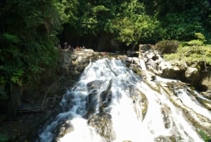 Ubud: Tour guidato di mezza giornata delle cascate di Ubud
