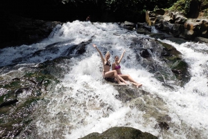 Ubud: Excursão guiada de meio dia às cachoeiras de Ubud