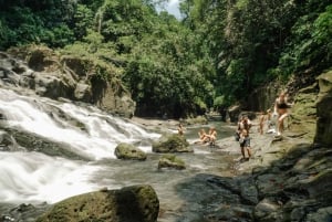 Ubud: Tour guidato di mezza giornata delle cascate di Ubud