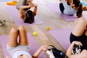 Puppy Yoga in Bali, Ubud & Uluwatu