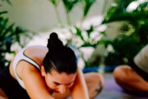 Puppy Yoga in Bali, Ubud & Uluwatu