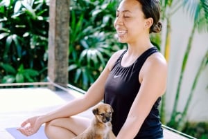 Puppy Yoga in Bali, Ubud & Uluwatu