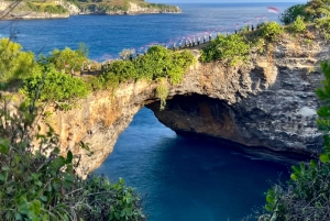 Highlights of Nusa Penida West Islands Tour - All Inclusive