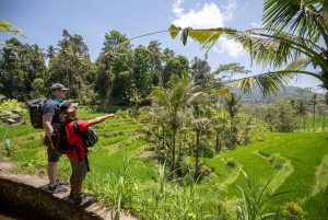 Hiking Experience in Bali: Rice Terraces Tour