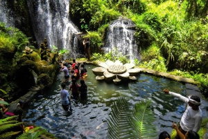 Heilige Reinigungszeremonie am Wasserfall Taman Beji Griya