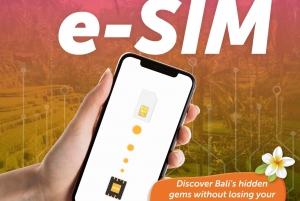 SIM de datos de Indonesia (eSIM) para datos de Internet