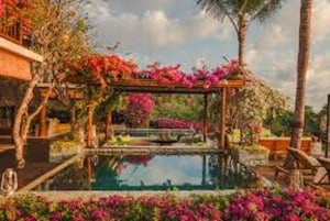 Indonesia: nuota con i cavalli e goditi il fascino delle scogliere