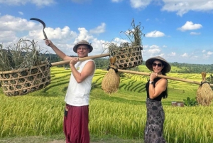 Ubud Bali : Atv Quad Bikes & Sunset Pool Bar Free Acces
