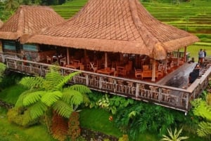 Jatiluwih Rice Terrace Trekking & Chocolate incld Transport
