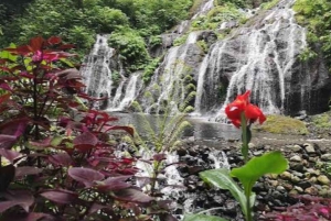 Bali : Jatiluwih Rice Terrace, Banyumala waterfall & Temple