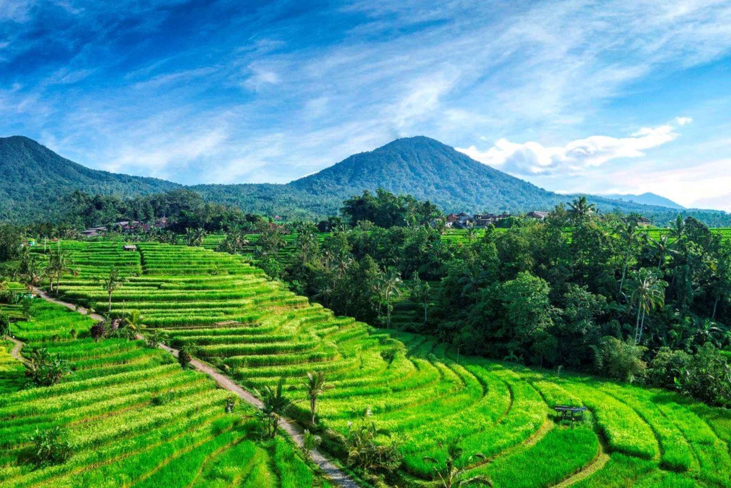 Jatiluwih (UNESCO Site) 2-Hour E-Bike Cycling Tour