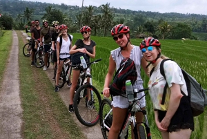 Jatiluwih (UNESCO Site) 2-Hour E-Bike Cycling Tour