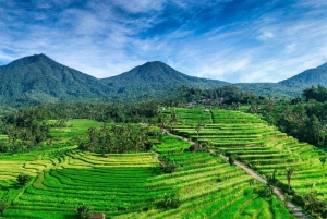 Jatiluwih (UNESCO Site) 2-Hour E-Bike Cycling Tour