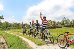 Jatiluwih (UNESCO-sted) 2-timers sykkeltur på el-sykkel