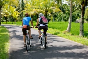 Jatiluwih (sito UNESCO): tour di 2 ore in bici elettrica