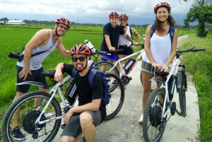 Tour de 2 h en bici eléctrica a Jatiluwih, lugar UNESCO