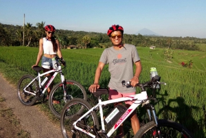 Bali: E-Bike-Tour zur UNESCO-Welterbestätte Jatiluwih