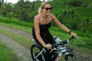 Jatiluwih (UNESCO-sted) 2-timers sykkeltur på el-sykkel