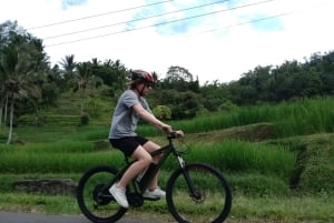 Jatiluwih (UNESCO Site) 2-Hour E-Bike Cycling Tour
