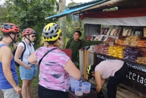 Jatiluwih (UNESCO Site) 2-Hour E-Bike Cycling Tour