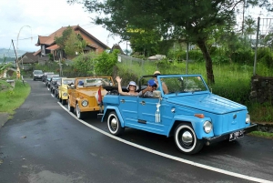 Passeio Jatiluwih VW Safari Bali