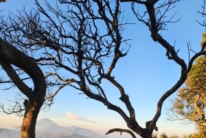 'Java Highlights: Yogyakarta to Bromo & Ijen Volcanoes'