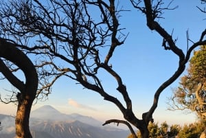 'Java Highlights: Yogyakarta to Bromo & Ijen Volcanoes'