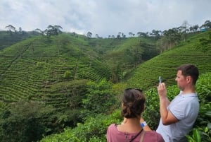 'Java Highlights: Yogyakarta to Bromo & Ijen Volcanoes'