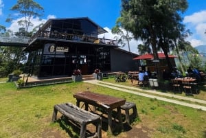 'Java Highlights: Yogyakarta to Bromo & Ijen Volcanoes'