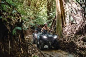 Tour in jeep all'alba a Bali con caffè, altalena, sorgenti termali e altro ancora