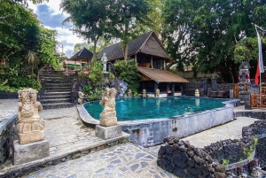 Tour in jeep all'alba a Bali con caffè, altalena, sorgenti termali e altro ancora