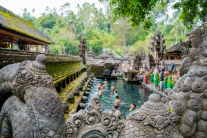 Tour in jeep all'alba a Bali con caffè, altalena, sorgenti termali e altro ancora