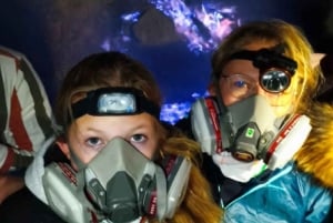 Jepara: 4 Days To Bali Through Waterfall, Mt Bromo, and Ijen