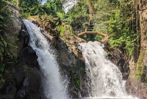 Hoppning Rutschkana vid Aling- Aling vattenfall och Handara Gate