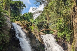 Jumping Sliding at Aling- Aling Waterfall and Handara Gate