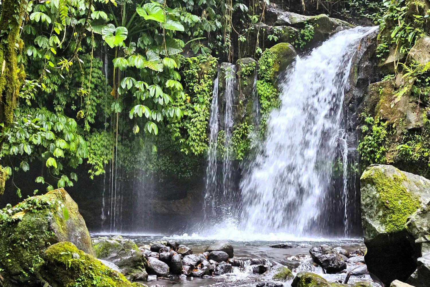 Senderismo por la selva en el monte Batukaru, cascada panorámica y pueblo