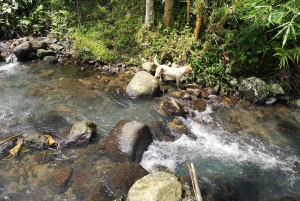 Поход в джунгли горы Батукару, живописный водопад и деревня