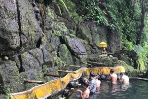 Viaje de Sanación del Karma en el Corazón de Bali