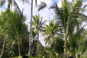 Viaje de Sanación del Karma en el Corazón de Bali